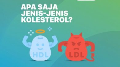 Jenis Jenis Kolesterol