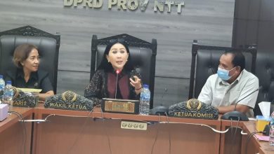 Julie Sutrisno (Tengah,) Rapat Dekranasda bersama Komisi II DPRD NTT