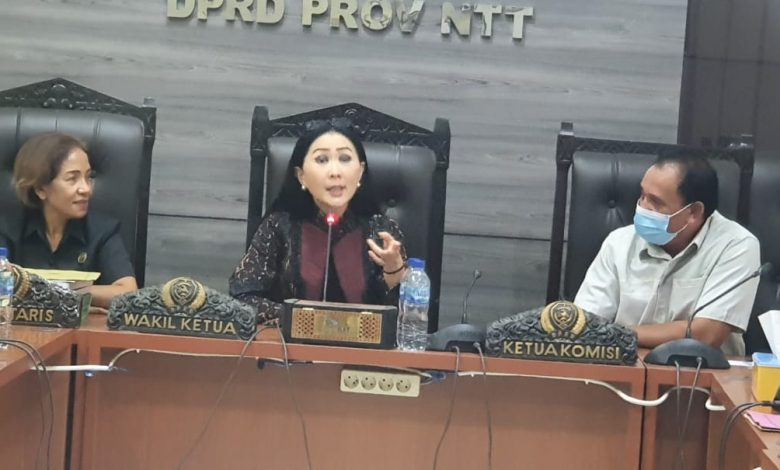 Julie Sutrisno (Tengah,) Rapat Dekranasda bersama Komisi II DPRD NTT