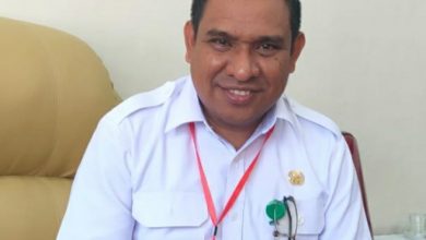 Kepala Dinas PMD NTT Viktor Manek