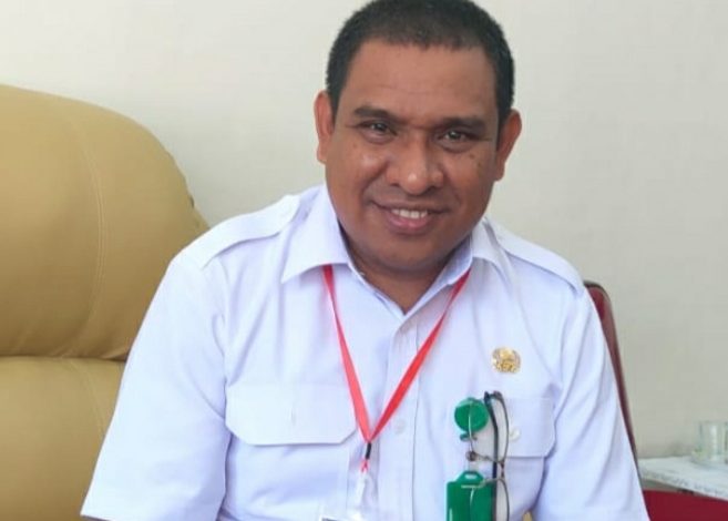 Kepala Dinas PMD NTT Viktor Manek