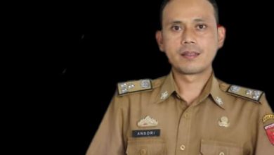 Kabid Kominfo Lampung Barat (Lambar) Ansori